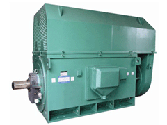 山城Y系列6KV高压电机